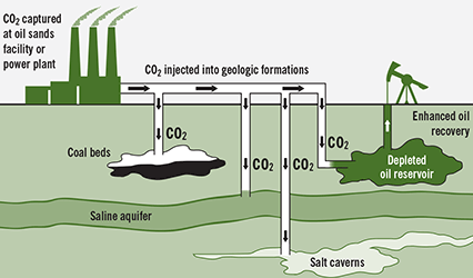Carbon capture and storage in a typical power plant