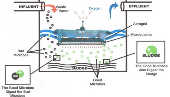 Bio Cleaner unit treating wastewater through natural microbial action in an eco-friendly and cost-effective manner.