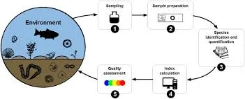 Technician conducting water quality analysis using a portable testing kit at a riverbank