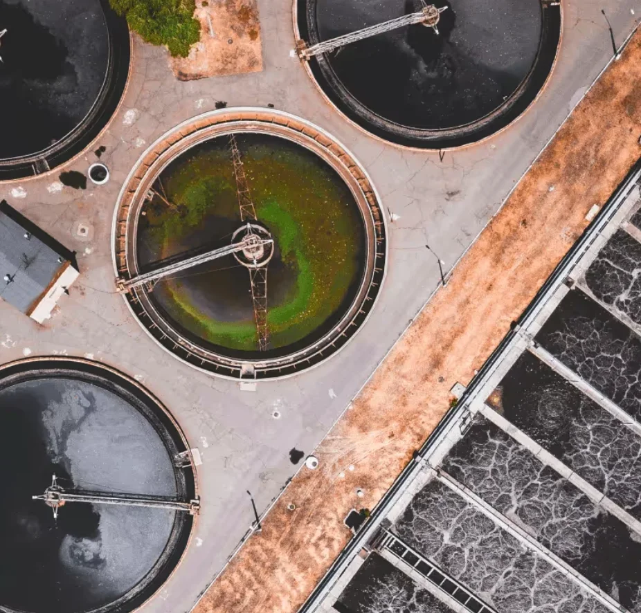 Sustainable wastewater treatment setup in a beverage processing facility